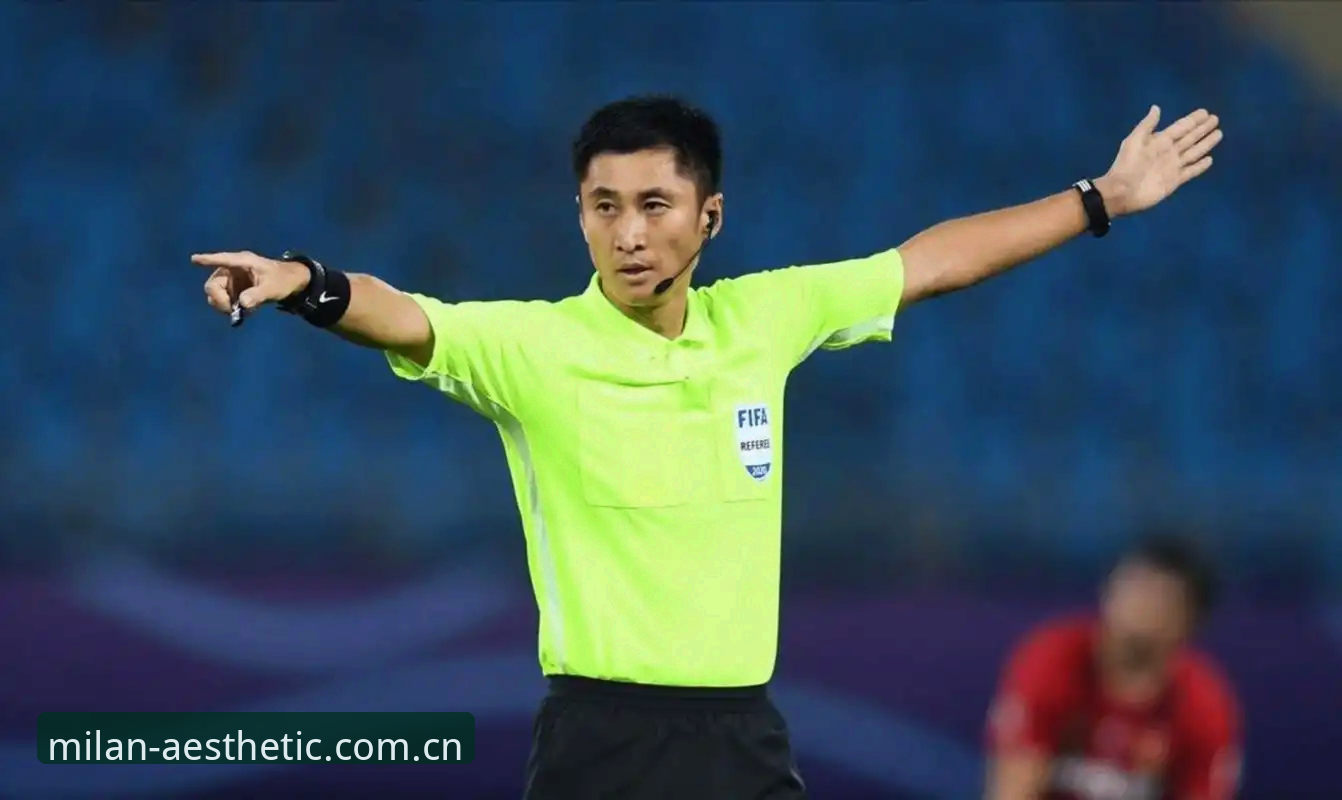 马宁世界杯执裁之路全面解析：为什么他从不看球迷评论